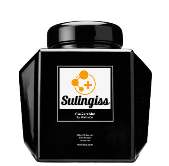  Image Sulingiss